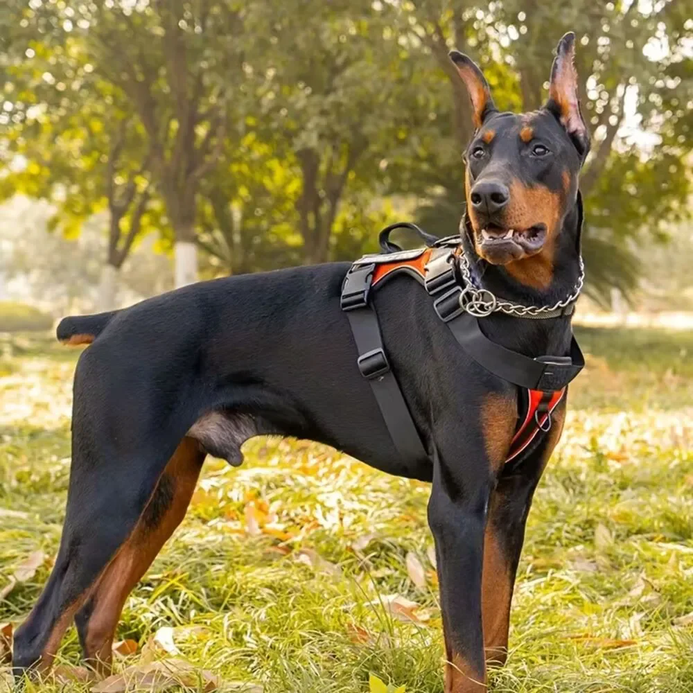 NIB-MED Reflective Dog Service Harness Adjustable Soft Pet Vest-Harness